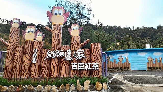 达人规划4大路线走访12间亮点茶庄 穿上制茶服当一日师傅