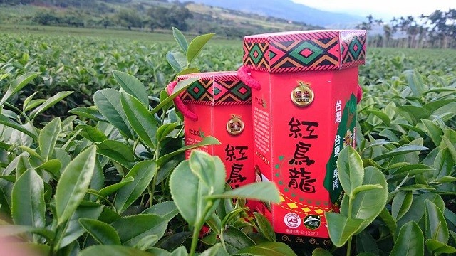达人规划4大路线走访12间亮点茶庄 穿上制茶服当一日师傅