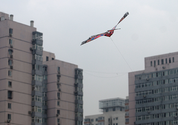 “90后”，而立前②｜少女小亚：成为独生女